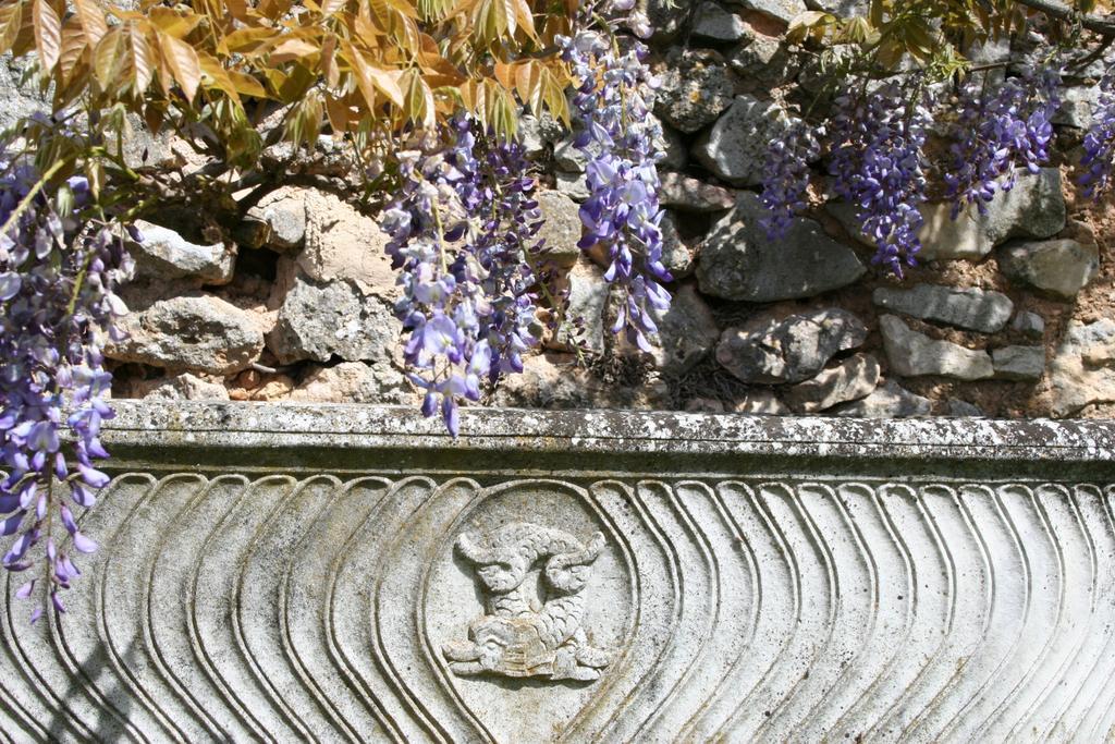 Domaine De La Blaque - B&B Varages Номер фото