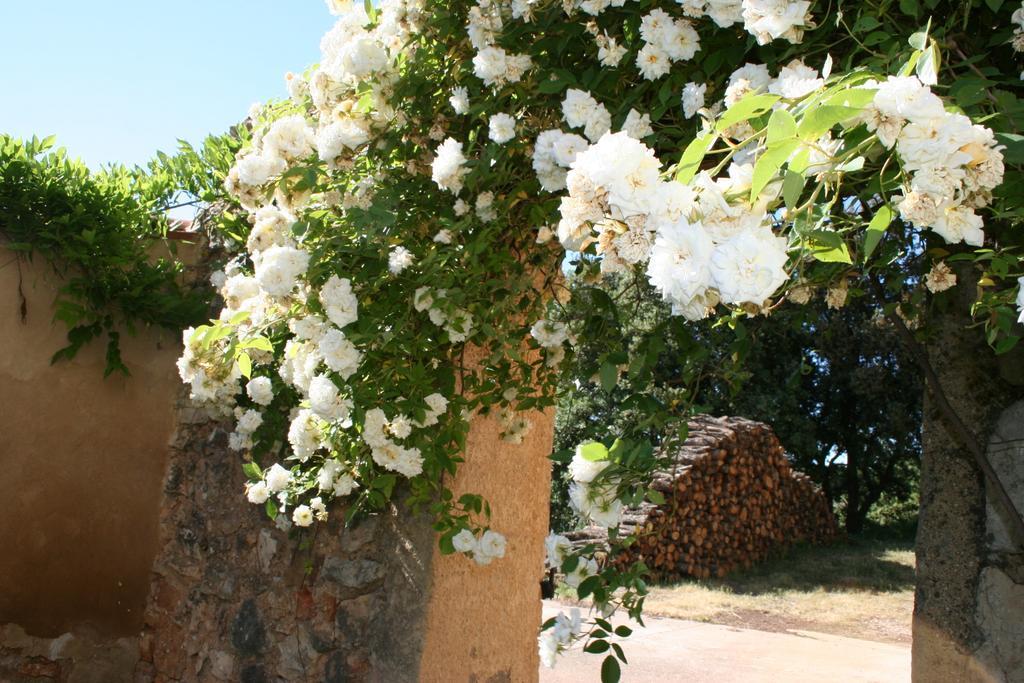 Domaine De La Blaque - B&B Varages Екстер'єр фото