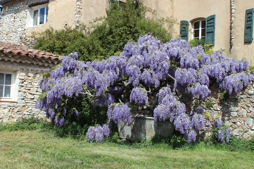 Domaine De La Blaque - B&B Varages Екстер'єр фото